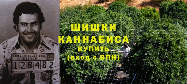 спайс Арсеньев